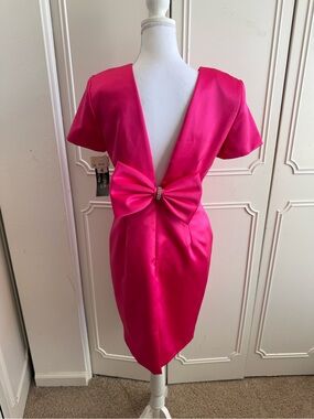 Late Edition Petite Vintage Floral Hot Pink Dress